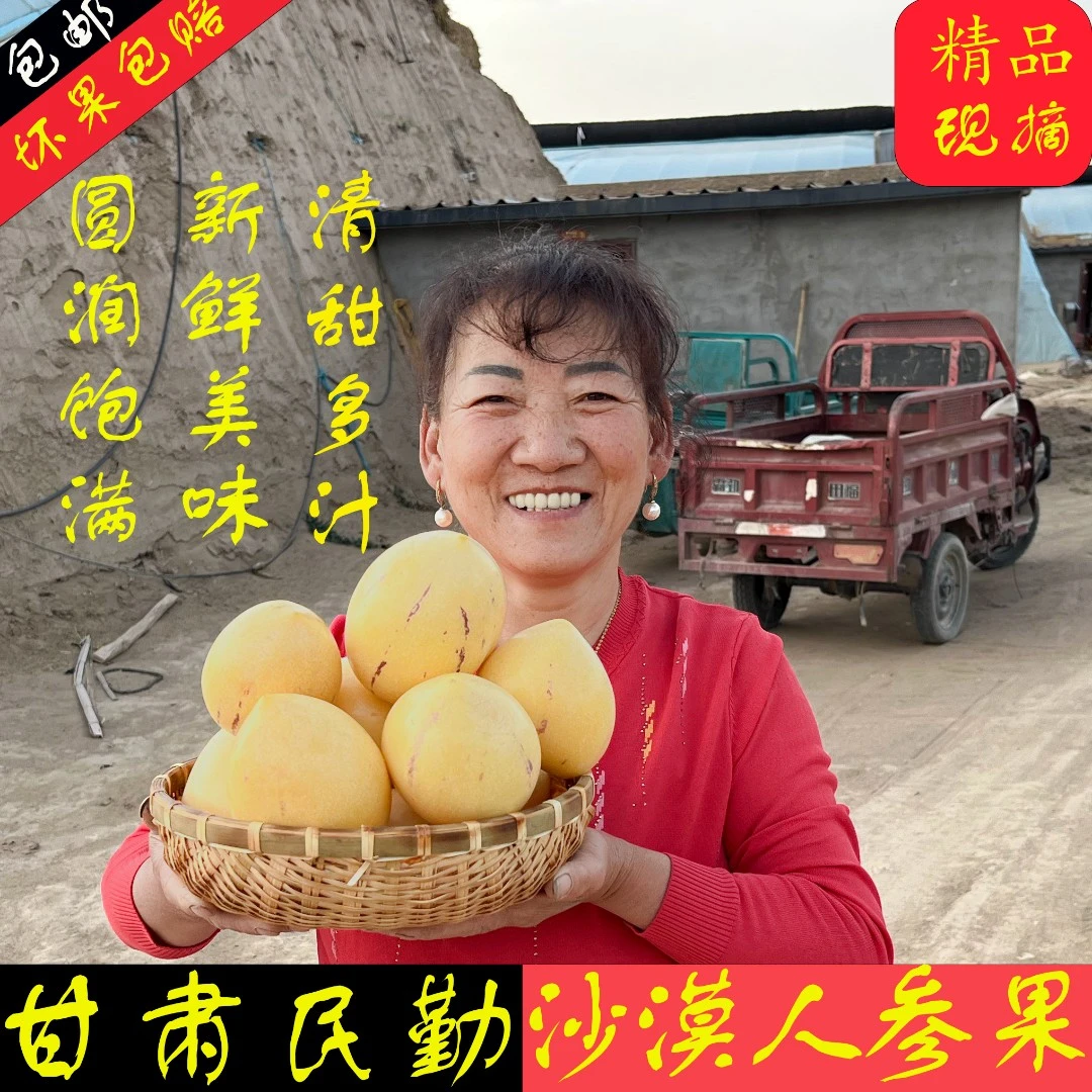 【小果】民勤沙漠人参果生态种植清甜多汁爸妈亲自栽培访友必备