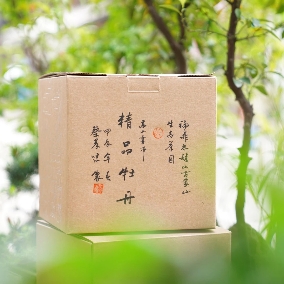 蔡晨啸高山灵净系列-2024年精品牡丹500g