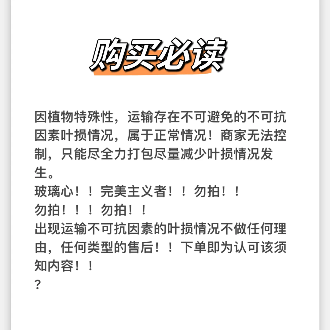 【江南植造】热带植物一物一拍[保留开箱视频,无视频不售后】
