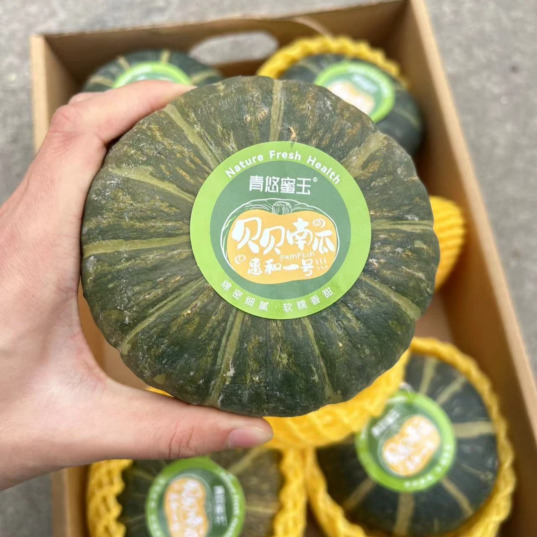 贝贝南瓜整件南瓜同城送