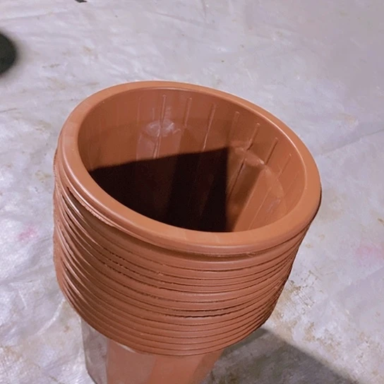 16公分红圆盆20个