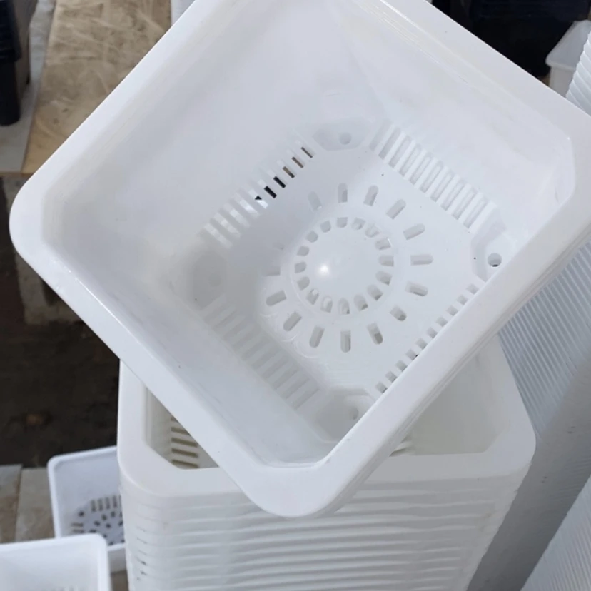 【闪购商品】220白方盆6个
