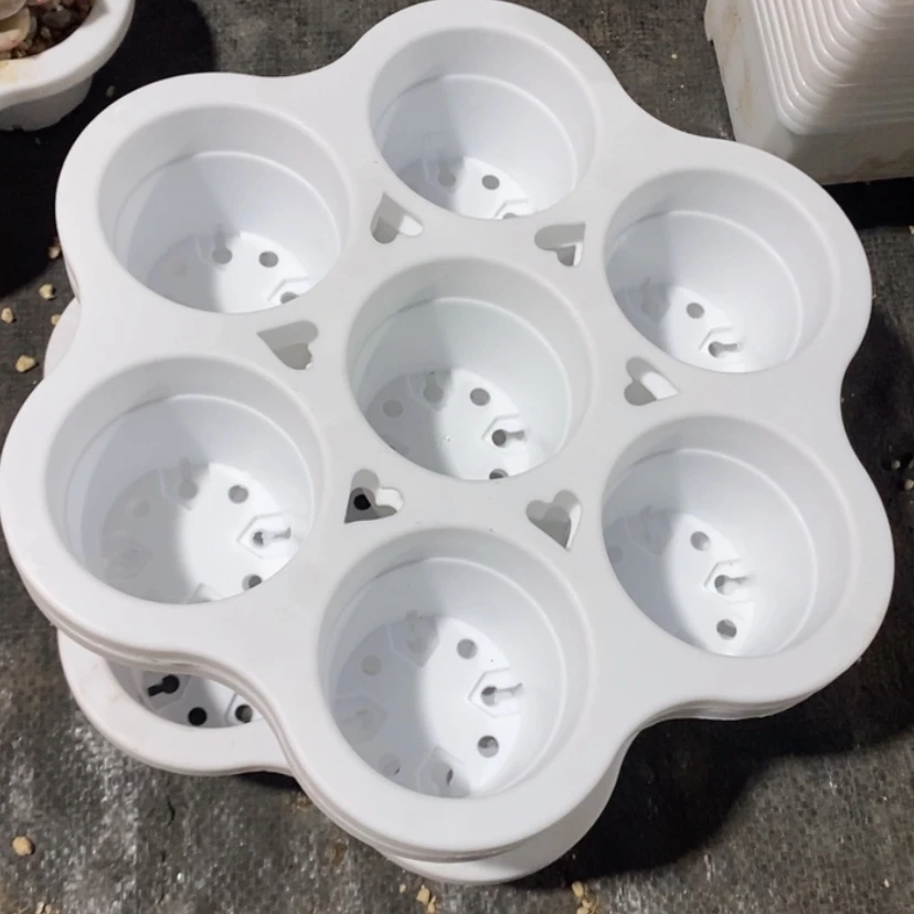 【闪购商品】6.5口梅花盆5个