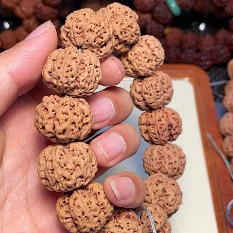 金刚菩提吊坠半*书尼泊尔大金刚菩提