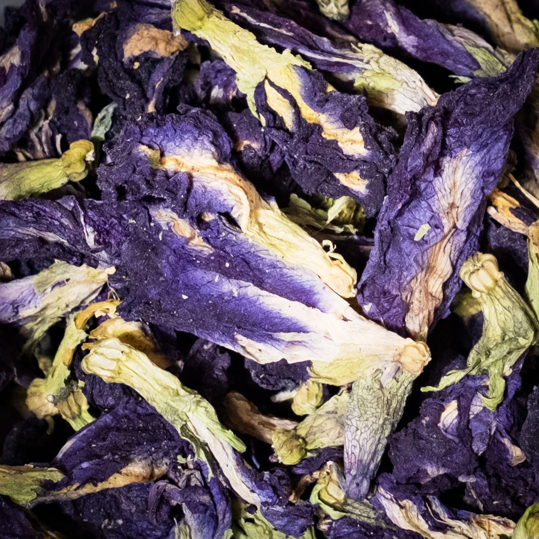 莫奈蓝蝶  云南深山 - 茶叶