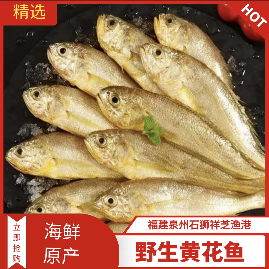 祥芝本港【黄花鱼/小金条】