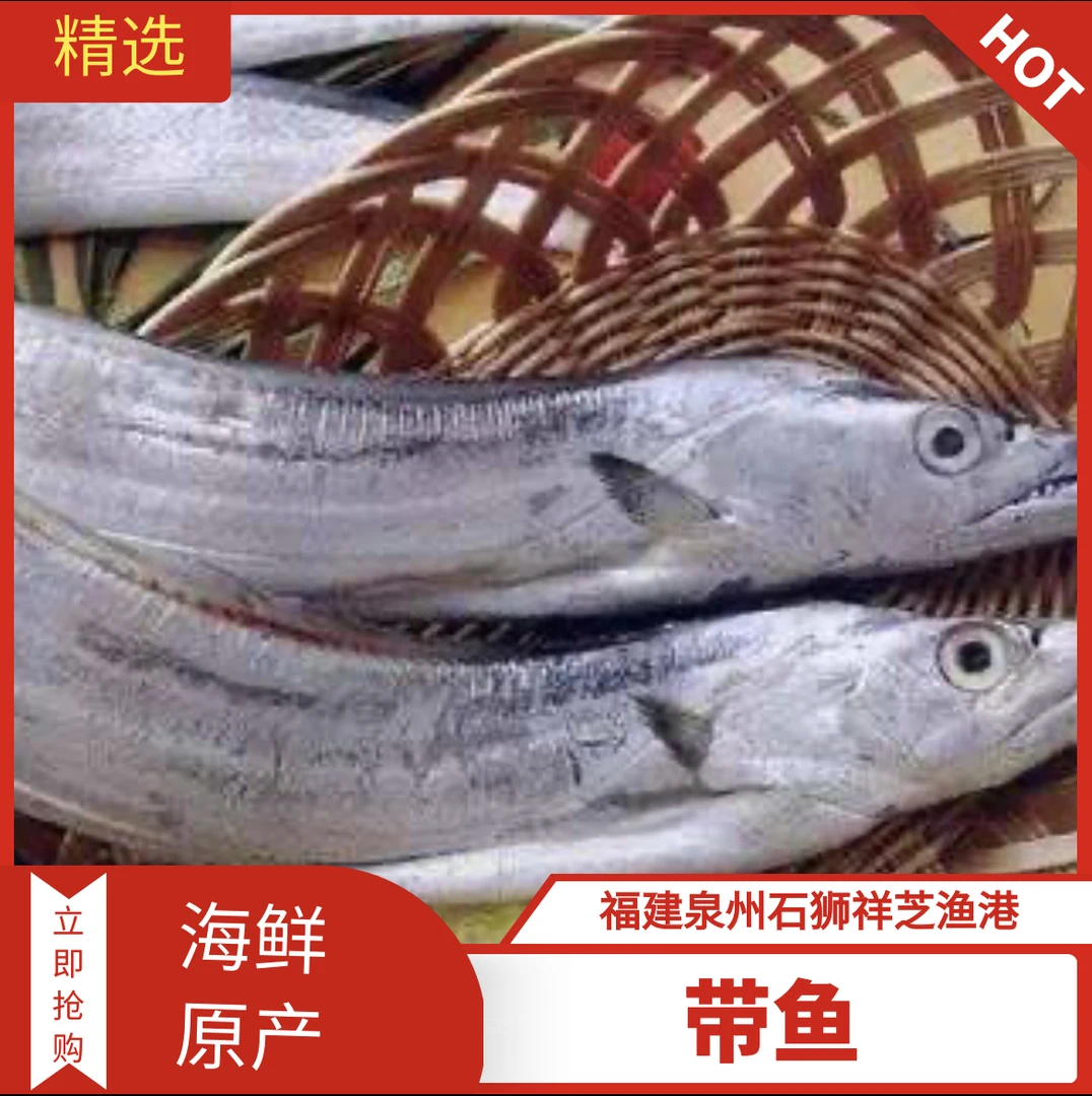祥芝本港【新鲜带鱼/东海带鱼】