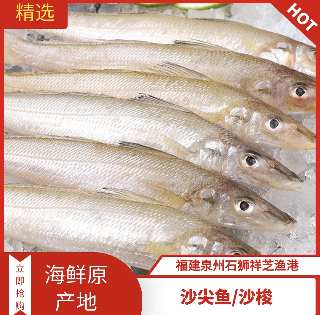 祥芝本港【沙尖鱼/沙梭】