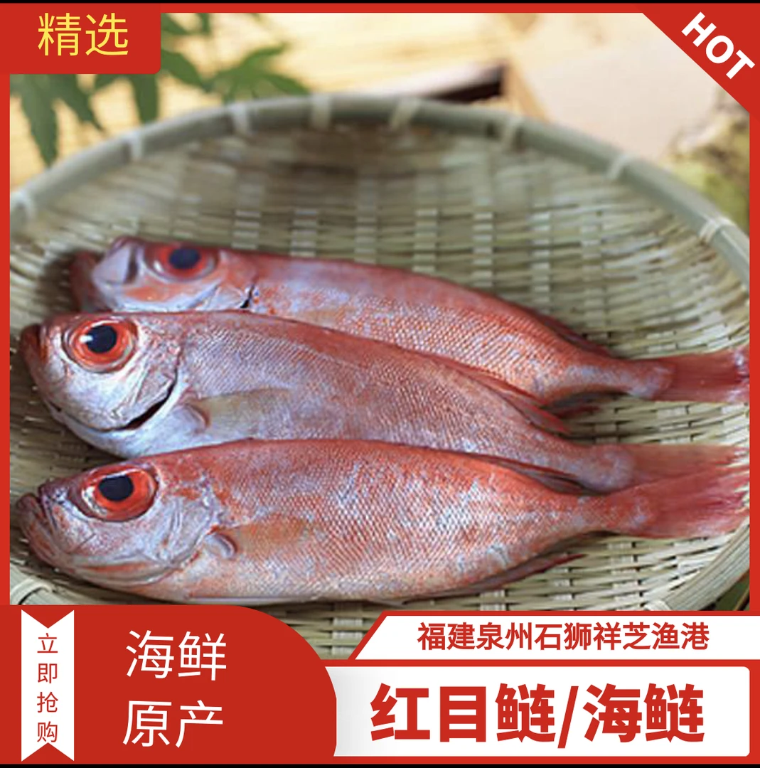 祥芝本港【红目鲢/海鲢鱼】