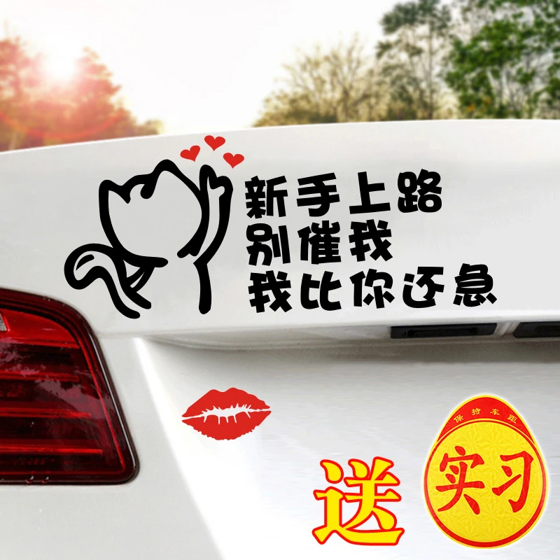 实习车贴女新手贴纸搞笑新手上路别催我我比你还着急提示反光警示