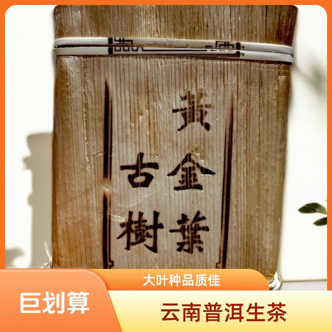 2019（拍1发2）藤条纯古树黄金叶250克