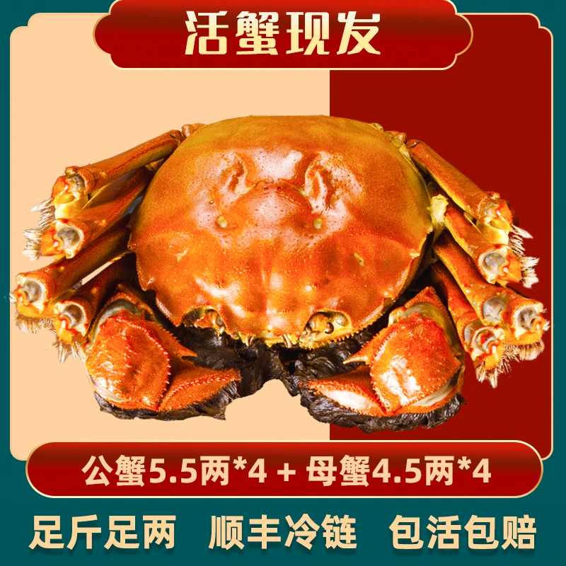 【活蟹】公蟹5.5两4只+母蟹4.5两4只 阳澄股份 精品大闸蟹 礼盒装