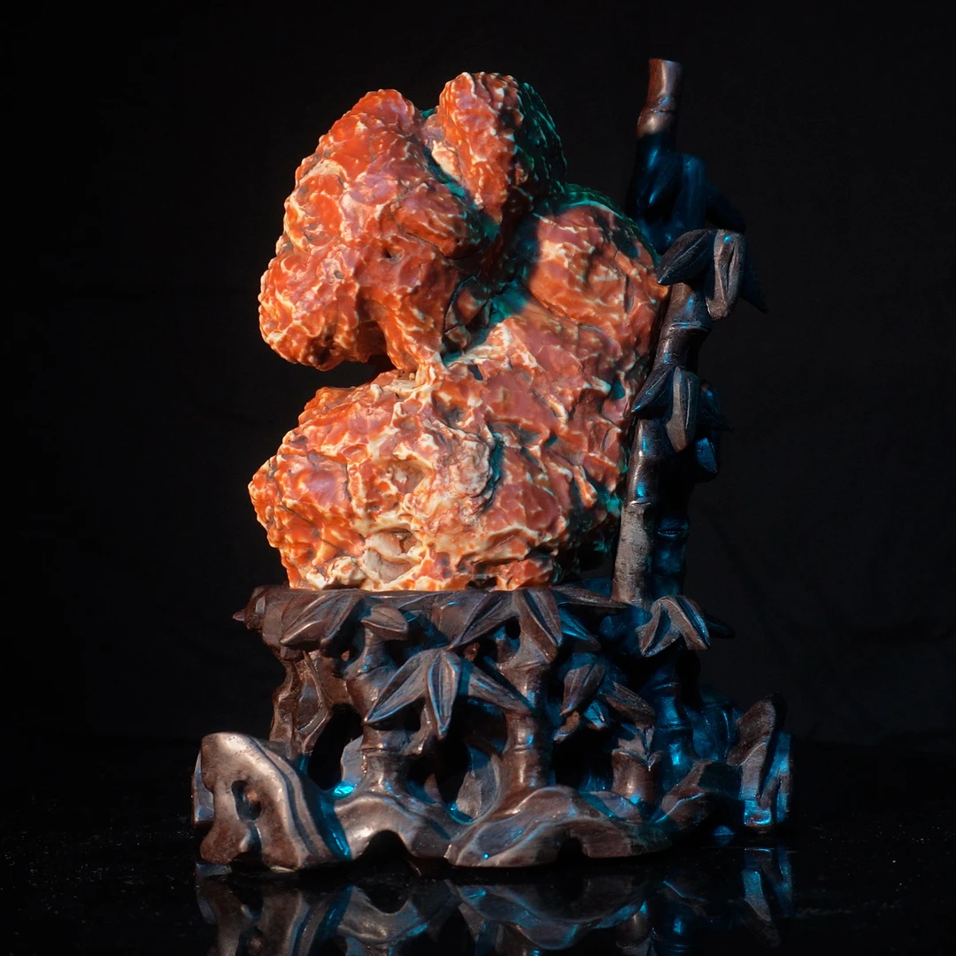 来自中国的·树袋熊奇石