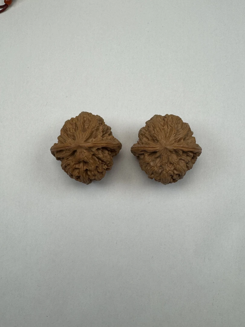 粗筋文玩核桃 已打底