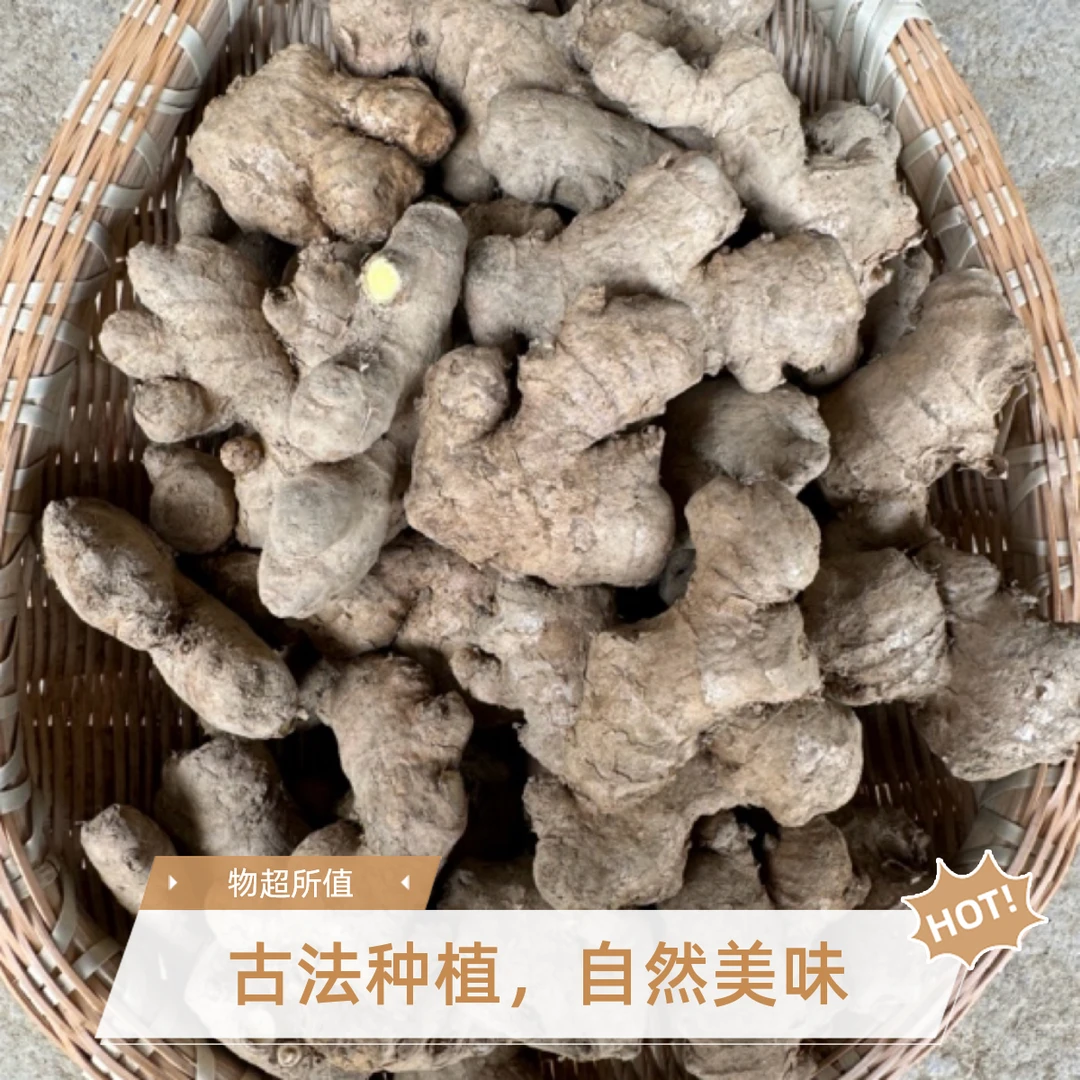 两年老姜（姜母子）