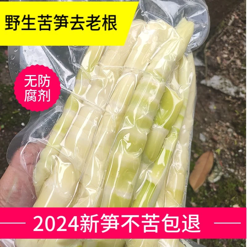 江西苦笋新鲜竹笋春笋很苦的笋新鲜蔬菜野生现挖2斤起包邮