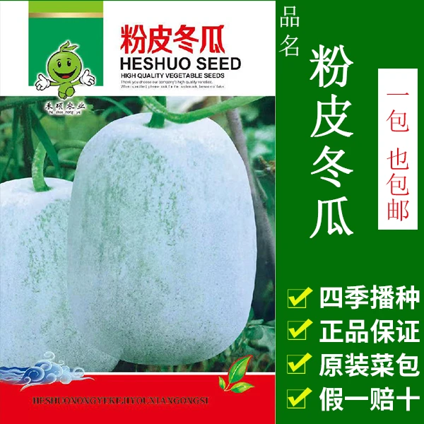 粉皮冬瓜种子早熟高产小冬瓜种孑春夏秋四季菜园庭院种植蔬菜种籽