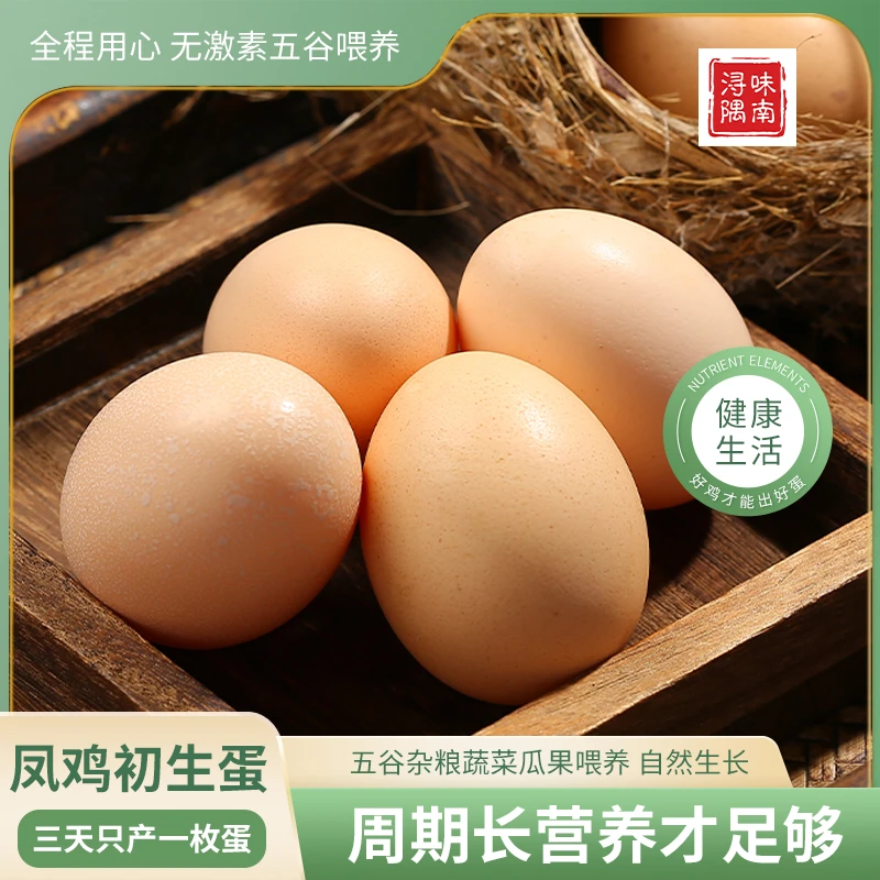浔味隅南甄选土鸡蛋  每只母鸡平均三天只产一枚蛋 营养自养直供