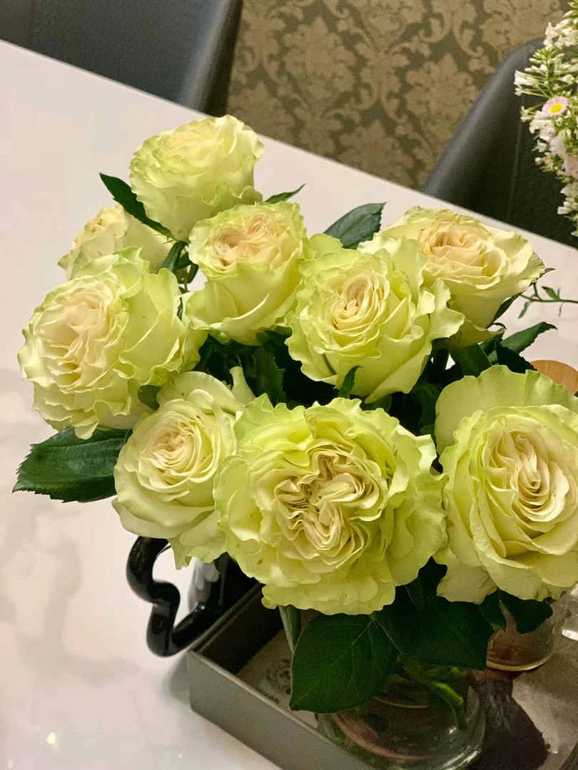 C级琉璃翠玫瑰10支       云南基地鲜花   直发   家养水养