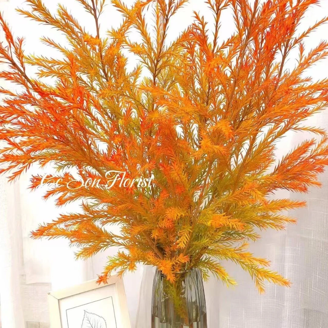 高级千层金鲜切木本类花材可做干花新鲜现摘顺丰冷链