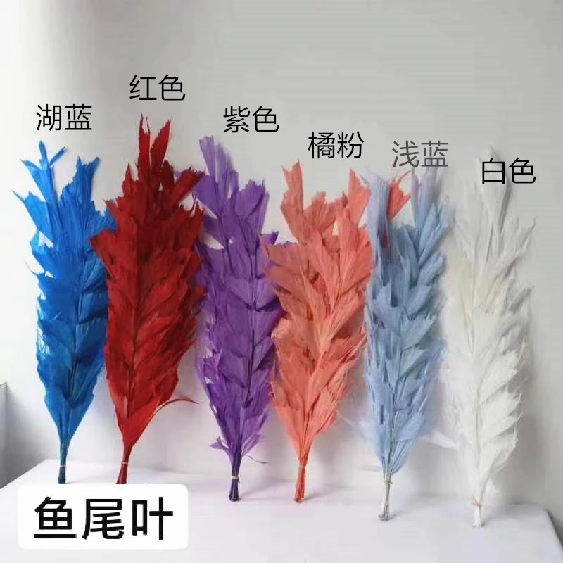 云南干花直销婚庆花艺造型居家软装庆典永生花鱼尾叶