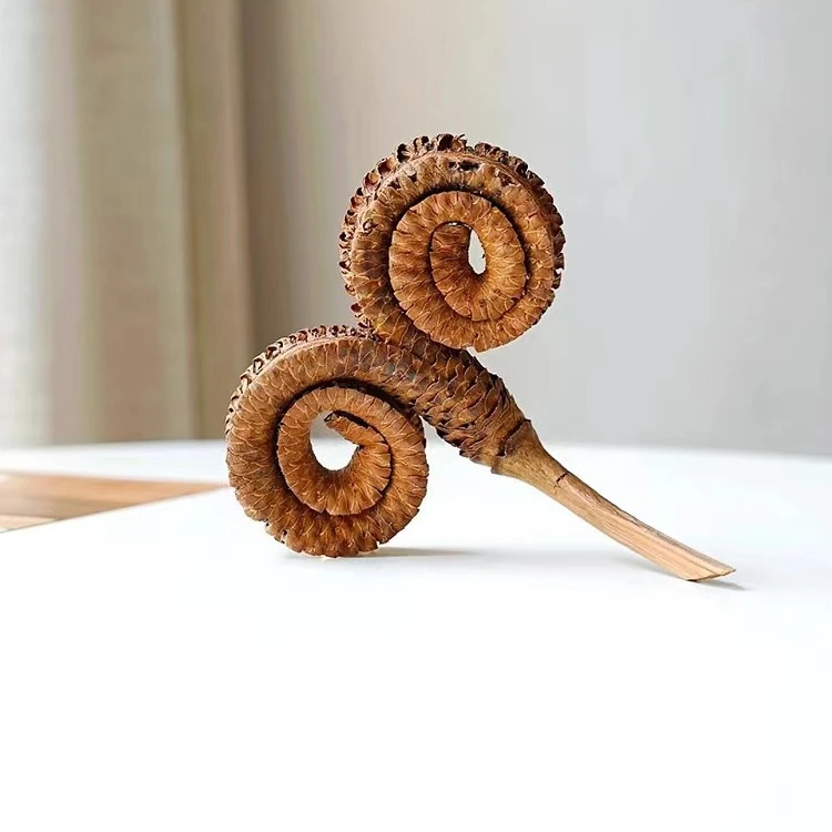 【花落谁家】天然植物干果实进口羊角木创意手工diy干花干树枝