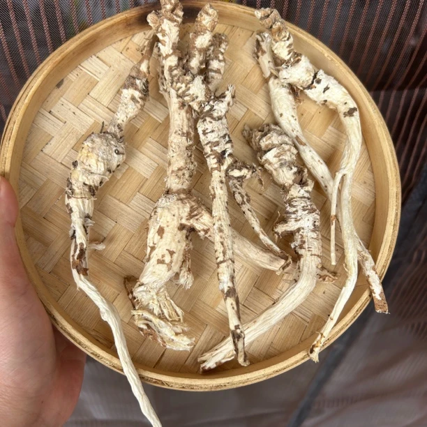 【沙参】秦岭大山里的沙参南沙参 非种植已刮皮 100g包邮另售山药