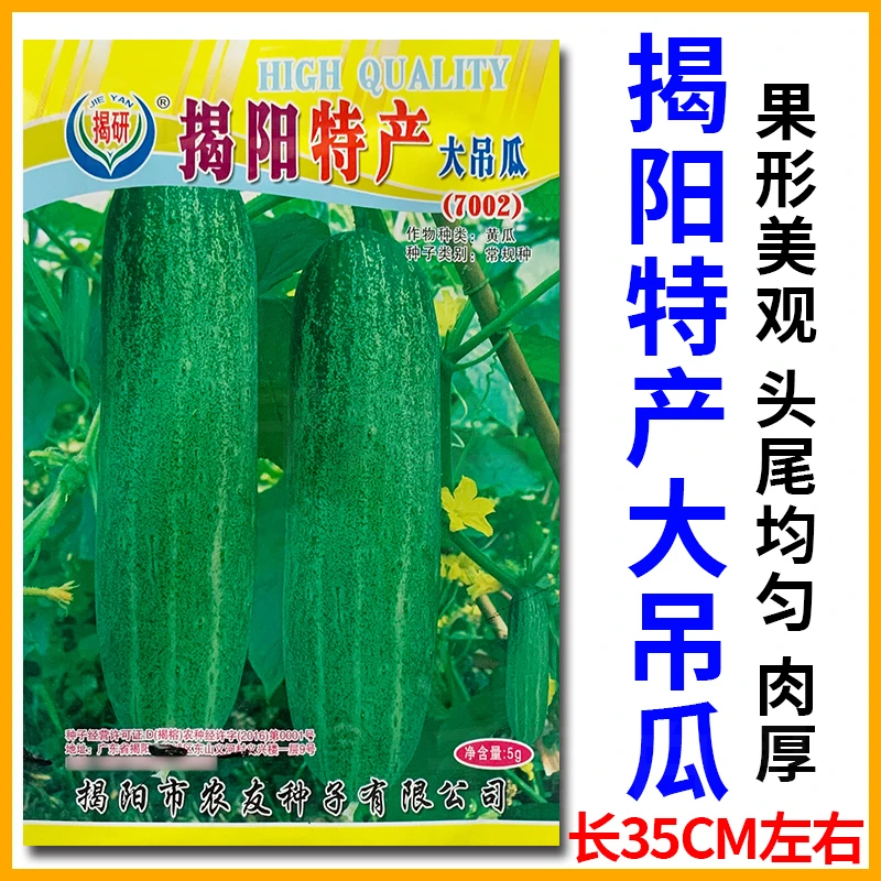 揭阳特产大青吊瓜种籽黄瓜籽种厚肉高产青瓜种子春秋农家蔬菜种孑