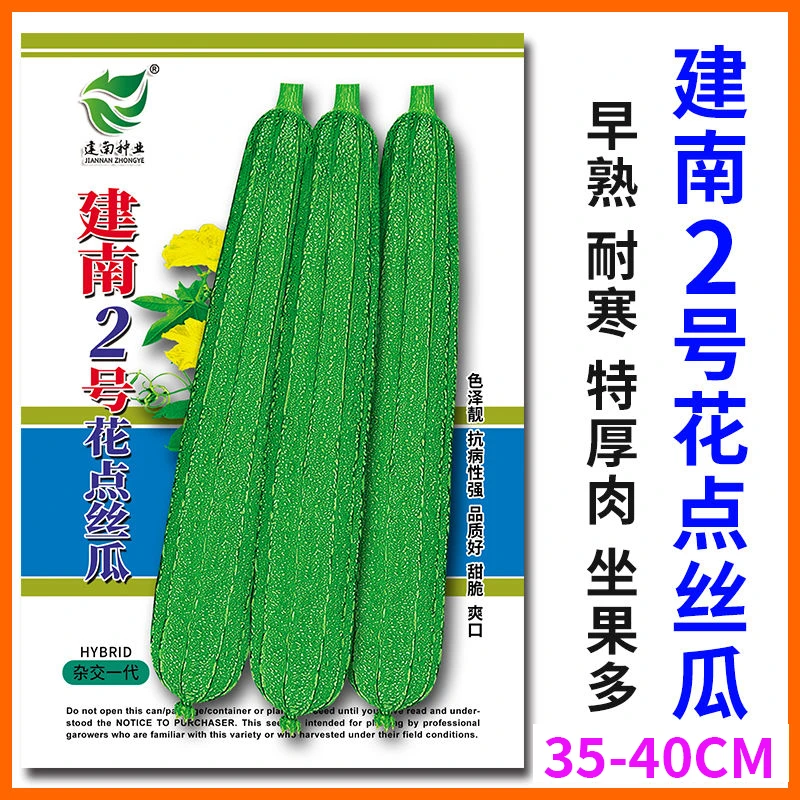 建南2号花点丝瓜种籽厚肉棱角丝瓜子种高产抗病春秋大田蔬菜种孑