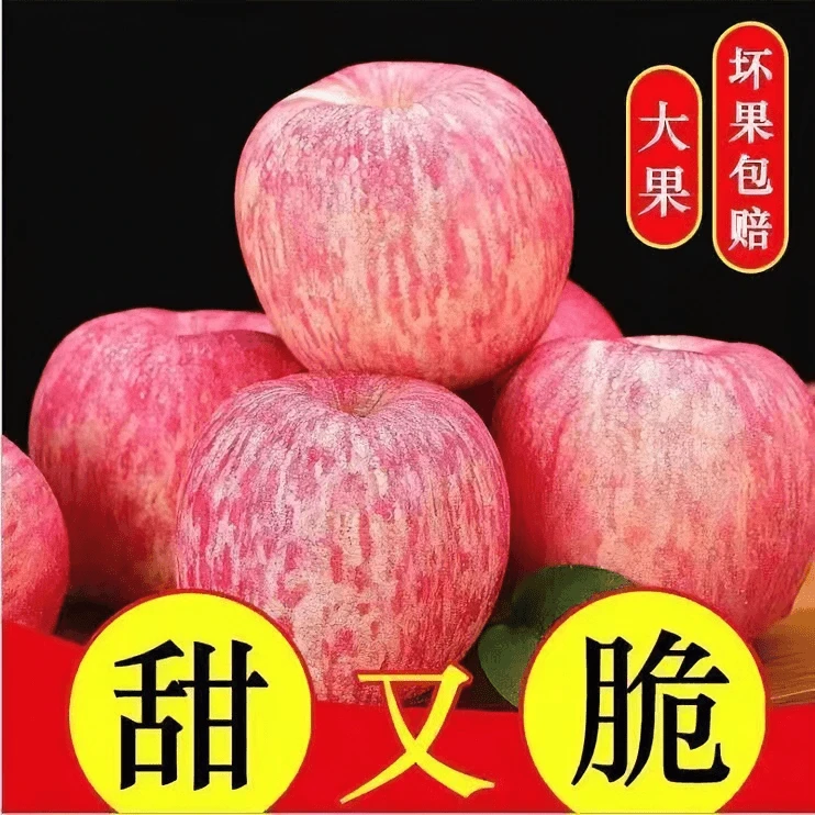 【拍5斤送5斤】烟台栖霞重量红富士苹果脆甜多汁口感新鲜坏果包赔xg