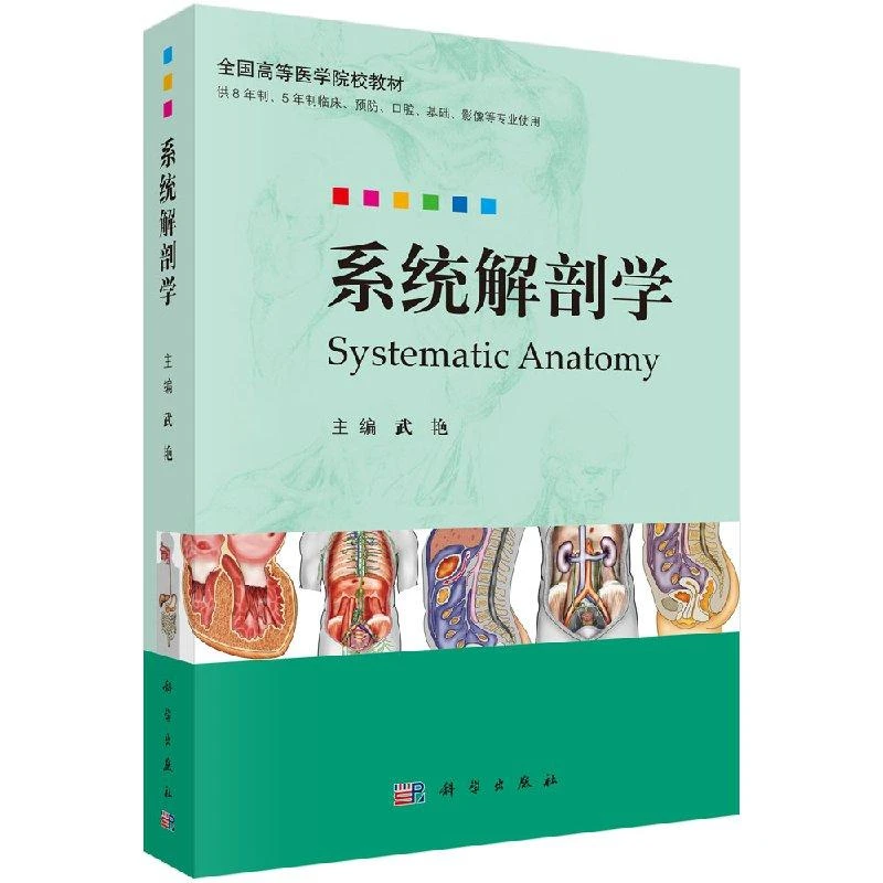 系统解剖学 口腔专业临床 人体器官结构参考外科研究应用重点全国