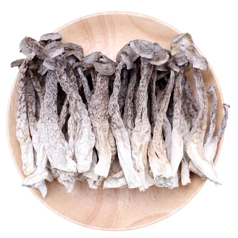 新鲜脆脆菇干货菌煲汤炒肉凉拌香味浓郁送礼佳品