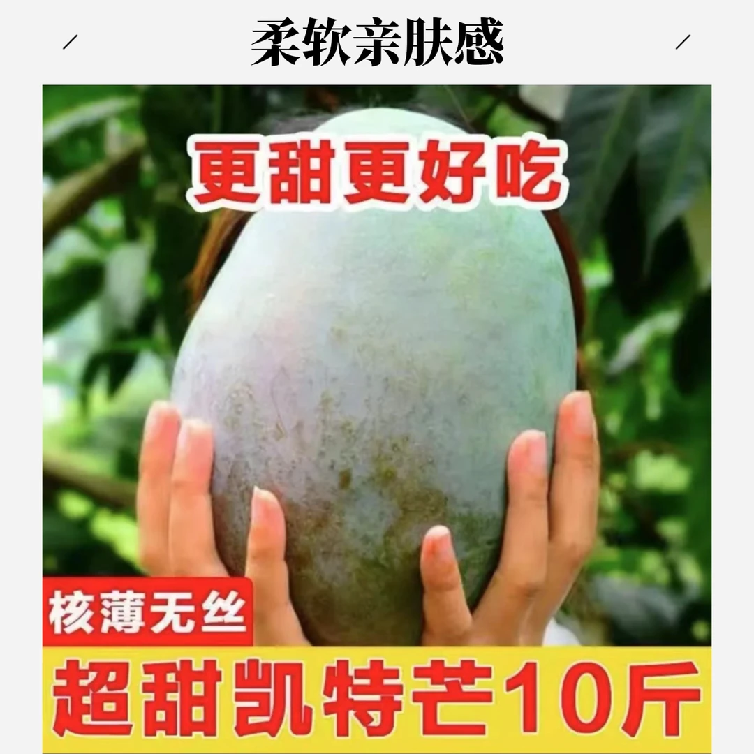 攀枝花凯特芒送人送礼选天地盖手提礼盒