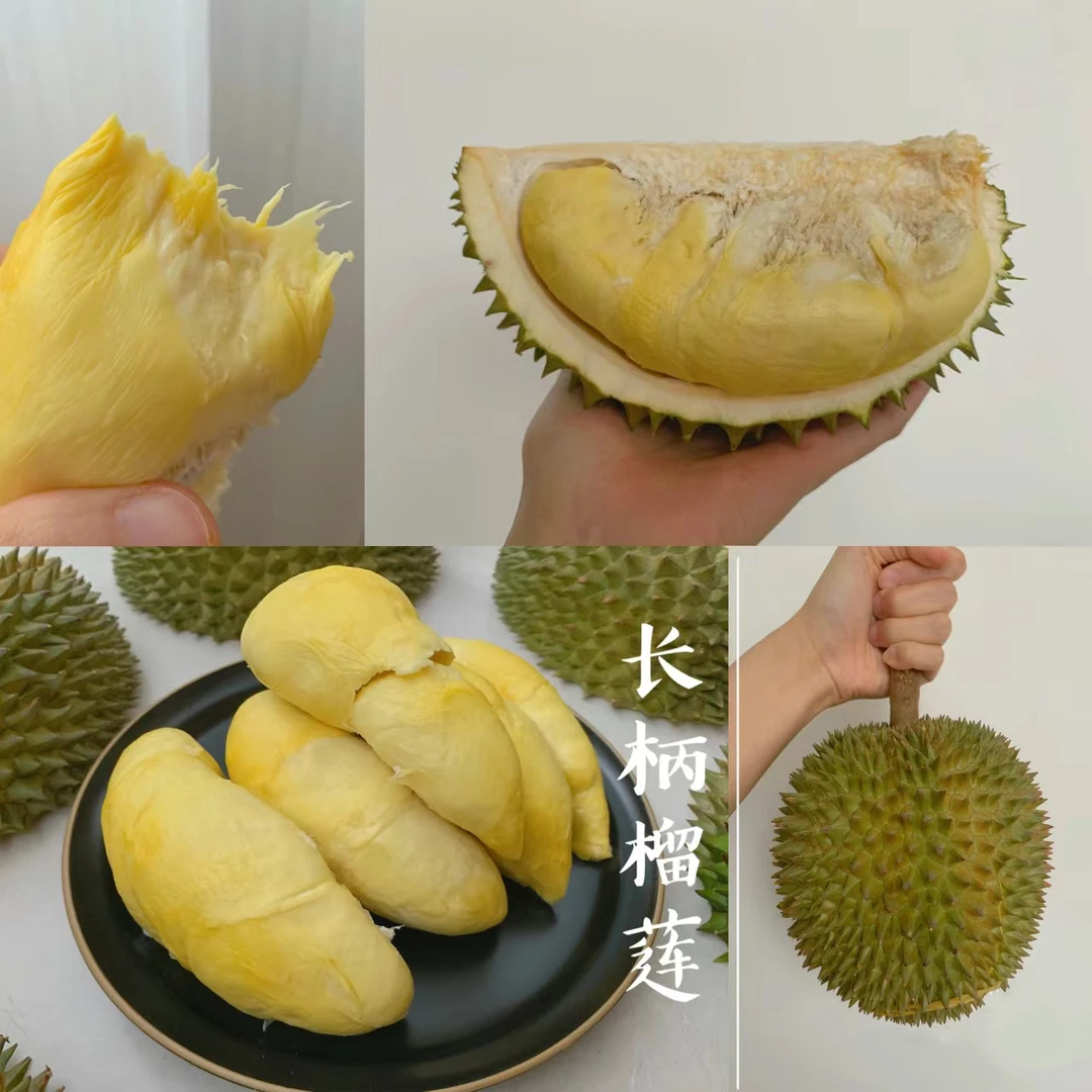 泰国进口长柄干尧鲜果皮厚核大介意勿拍