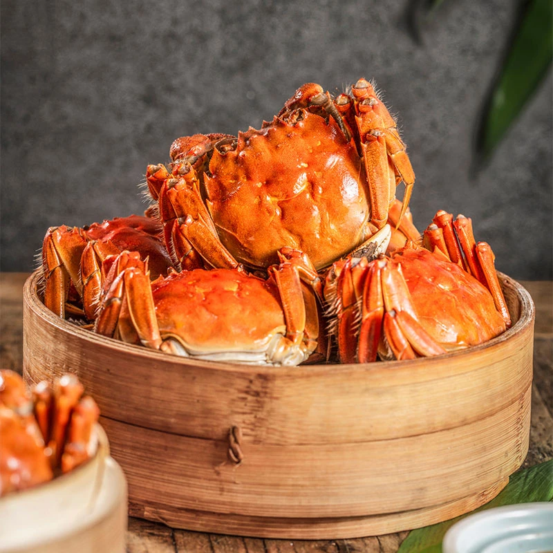 [大闸蟹]鲜活顺丰发货全母蟹2.0两8只鲜活礼盒装顺丰包邮