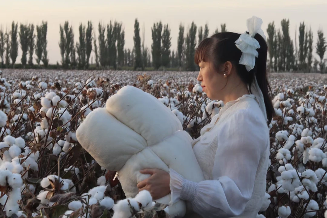 新疆棉花被，纯棉花，冬被，单人，双人