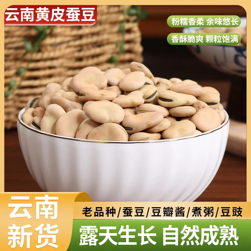 云南新货农家自种黄皮蚕豆五谷杂粮粗粮豆沙豆豉豆瓣酱煲汤煮粥