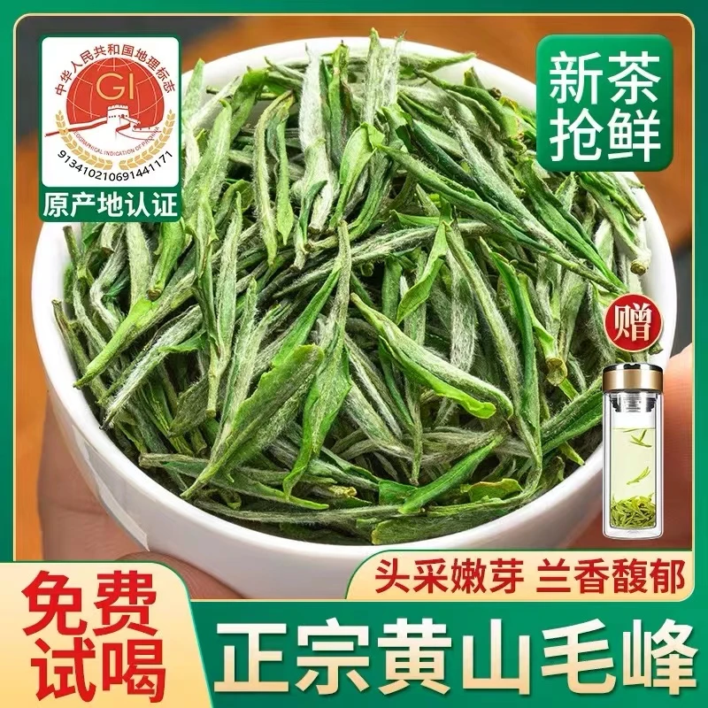 浓香口粮茶黄山毛峰2023新茶高山绿茶雨前头采揉捻品耐泡高香茶叶