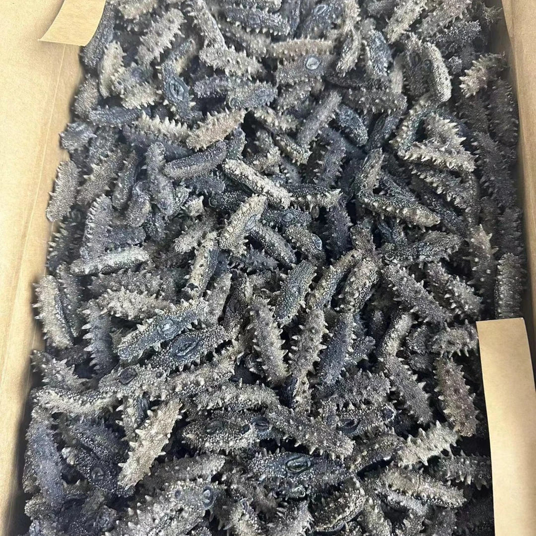 1级大连底播 外海 纯淡干海参