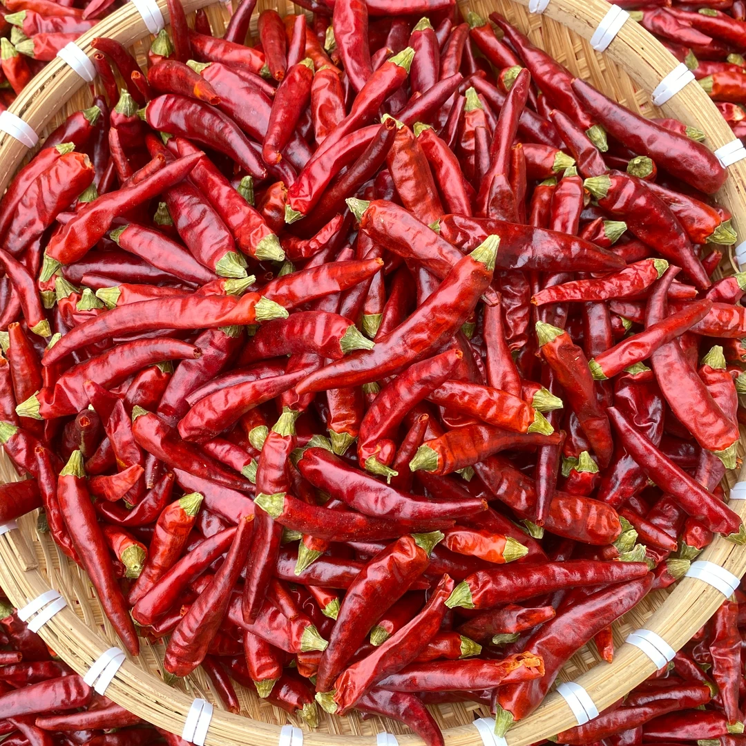 贵州特产遵义虾子满天星（小米椒特辣）整个有把散装家常做法好吃