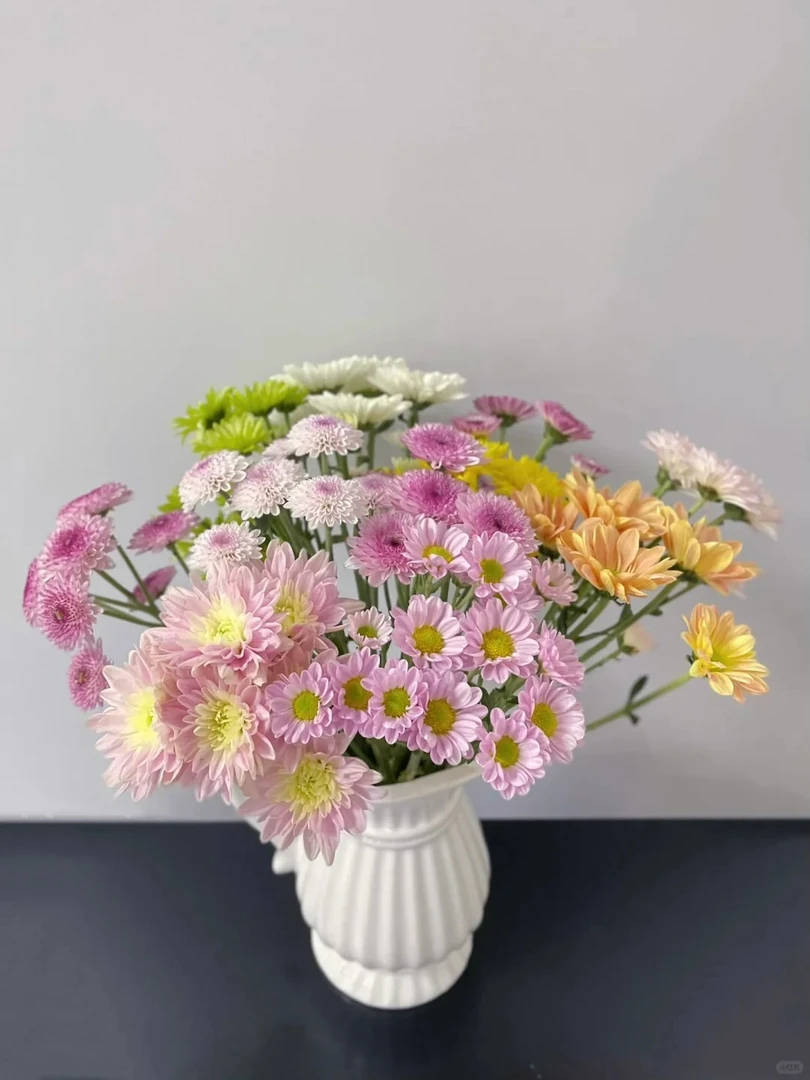 【小菊】北方鲜花精选山东产地直发新鲜鲜花10枝装