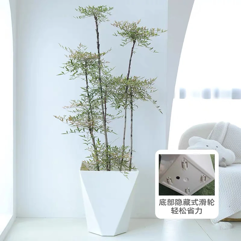 羽夕精选大型南天竹禅意造型绿植庭院造景阳台客厅室内植物盆栽