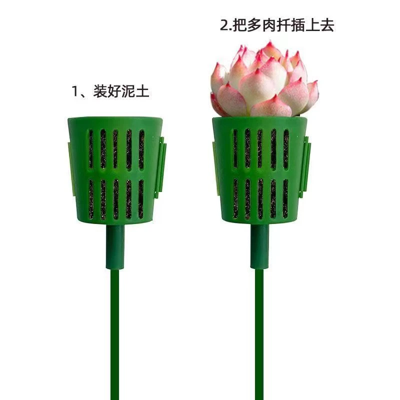 【花托+营养包】无土多肉透气海绵营养包种植干净卫生不生虫