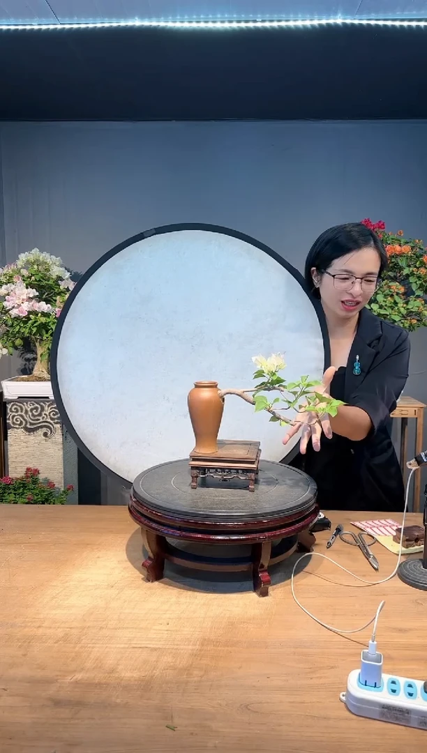 【闪购商品】卿 绿樱