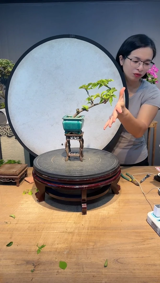 【闪购商品】花美  同安红