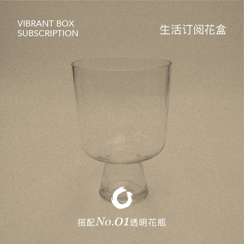 O集设计师定制透明玻璃花瓶简约实用水培水养家用插花 NO.01