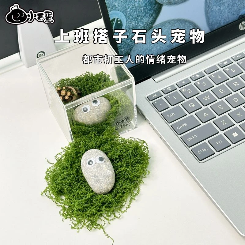 经典石头宠物-亚克力生态套装 宠物石头解压陪伴小宠物桌面宠物