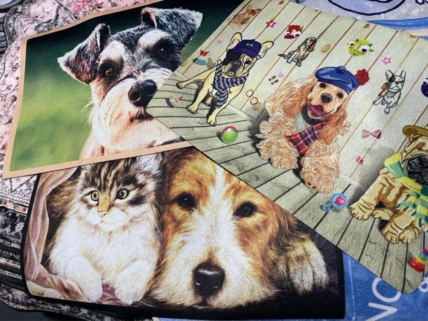 萌宠总动员  拍一发四 装饰垫睡觉垫蹭蹭垫 图案很多混发