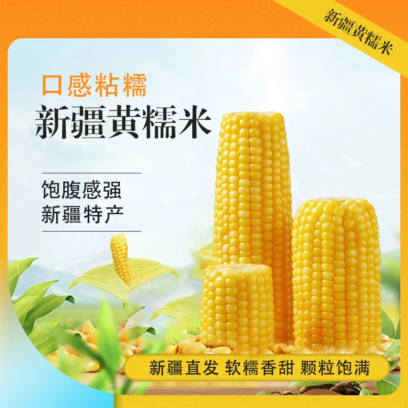 新疆黄糯玉米软糯香甜颗粒饱满真空包装
