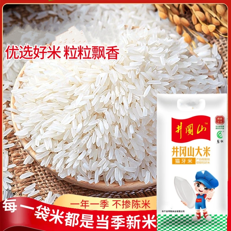 【小刘支书助农专属】琴联当季晚稻丝苗长粒香米新米猫牙油粘米